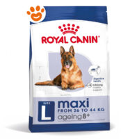 Sacco Royal Canin Maxi Ageing 8+ cani grandi