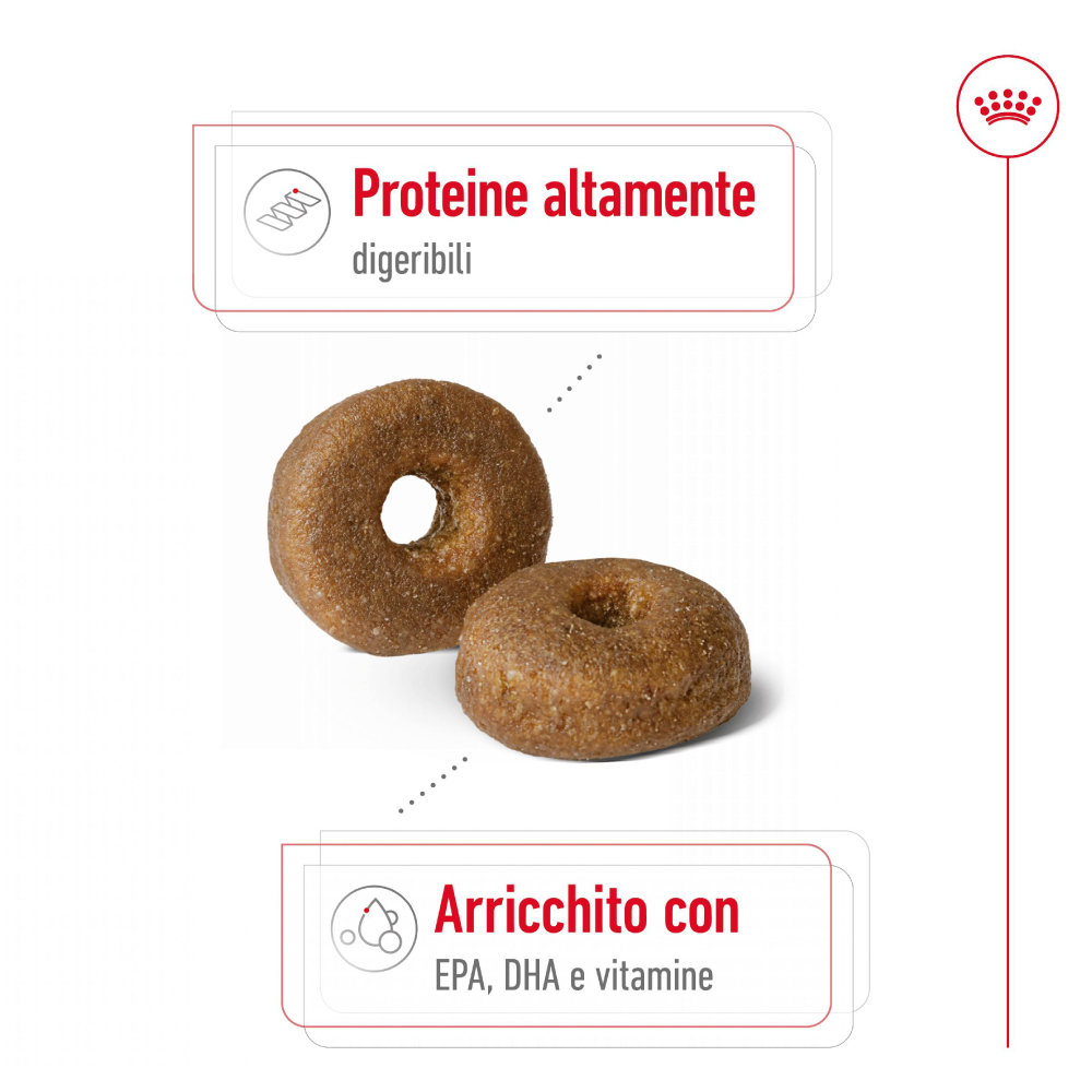 Crocchette per cani ricche di proteine e vitamine