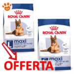 Offerta Royal Canin Maxi Ageing 8+ cane