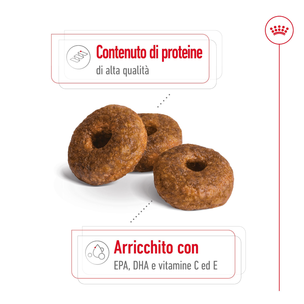 Crocchette per cani ricche di proteine