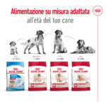 Alimentazione Royal Canin per età del cane