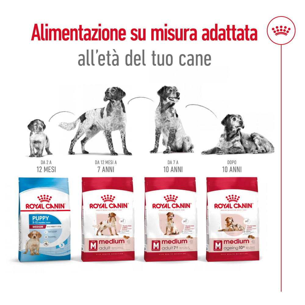 Alimentazione Royal Canin per età del cane