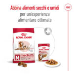 Cibo secco e umido Royal Canin per cani