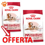 Offerta crocchette Royal Canin Medium Ageing 10+