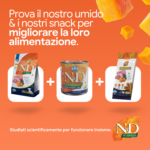 Linea N&D Pumpkin cibo umido e snack