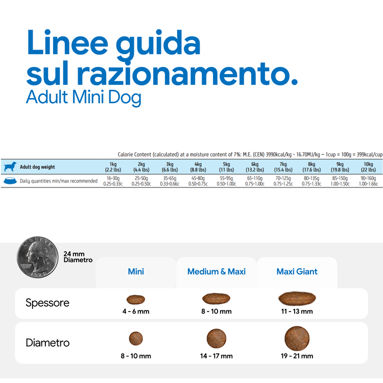 Linee guida razionamento Adult Mini Dog