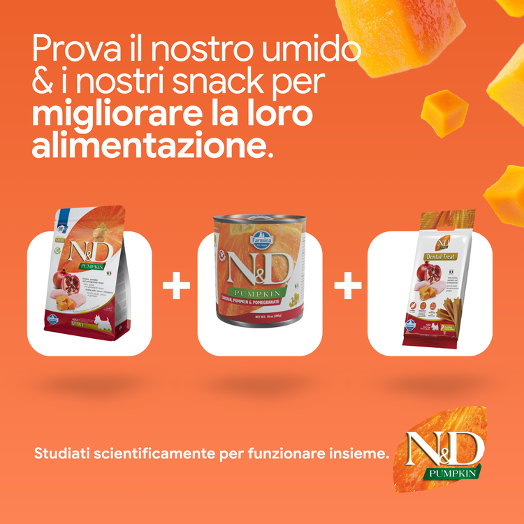 Linea N&D Pumpkin cibo umido e snack