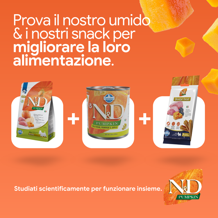 Linea N&D Pumpkin: umido e snack per animali