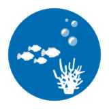 Acquario