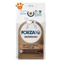 Forza10 Dog Active VetDiet Intestinal Colon Fase 1