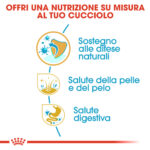 Infografica nutrizione su misura per cucciolo