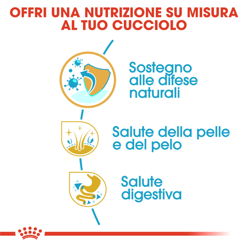 Infografica nutrizione su misura per cucciolo