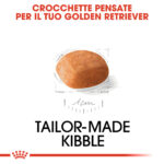Crocchetta su misura per Golden Retriever