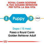 Schema crescita Golden Retriever Royal Canin