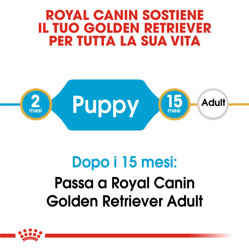 Schema crescita Golden Retriever Royal Canin