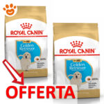 Offerta crocchette Royal Canin Golden Retriever Puppy