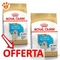 Offerta crocchette Royal Canin Golden Retriever Puppy
