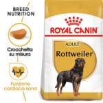 ROTTWEILER ADULT5
