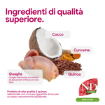 Ingredienti naturali: quaglia, cocco, curcuma e quinoa
