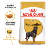 Sacco Royal Canin Adult Rottweiler cibo secco per cani