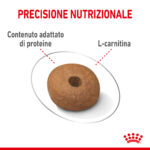 royal-canin-dog-medium-light-weight-care-gallery (3)