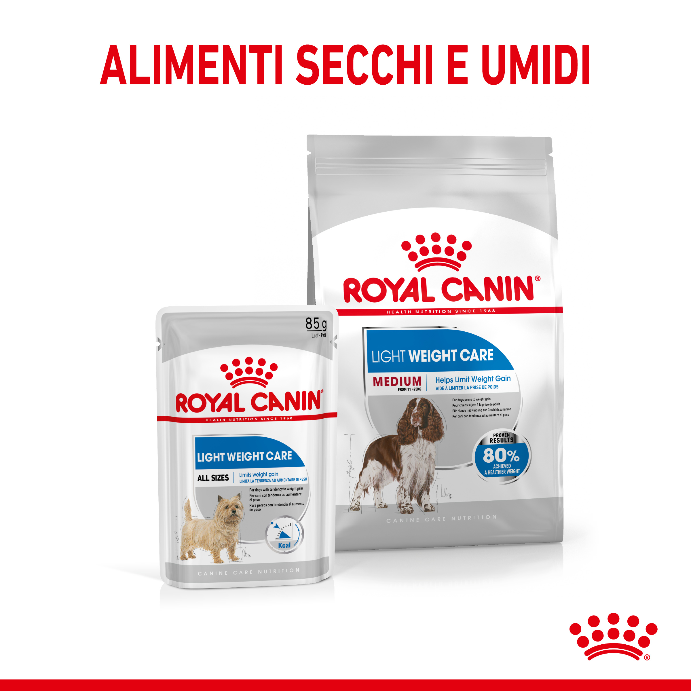 royal-canin-dog-medium-light-weight-care-gallery (4)