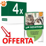 elanco-cat-advantage-per-gatti-e-conigli-4-pipette