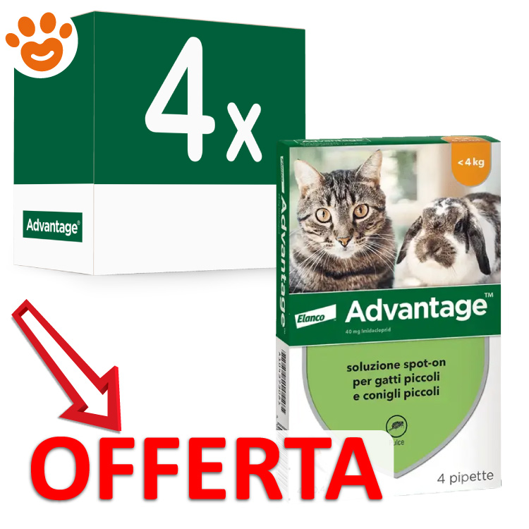 elanco-cat-advantage-per-gatti-e-conigli-4-pipette