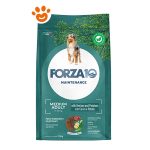 f10-dog-medium-adult-cervo