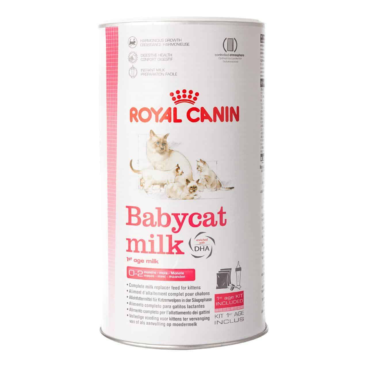Royal Canin First Age Babycat Milk 300 gr - Amore Animale Shop