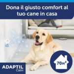 ceva-adaptil-diffusore-ambientale-ricarica-starter-gallery