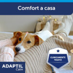 ceva-adaptil-diffusore-ambientale-ricarica-starter-gallery-5