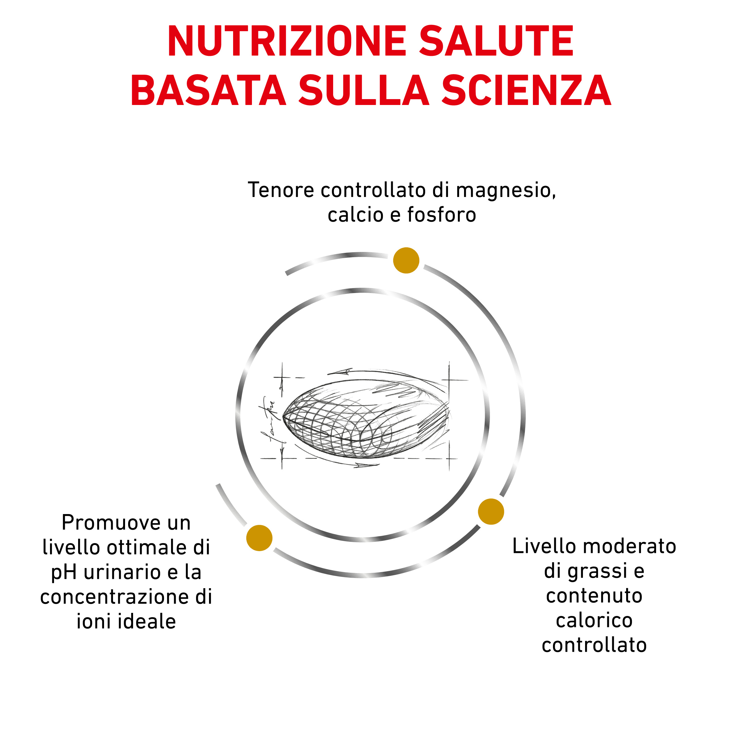Nutrizione salute basata sulla scienza