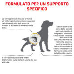 Infografica su calcoli urinari nel cane