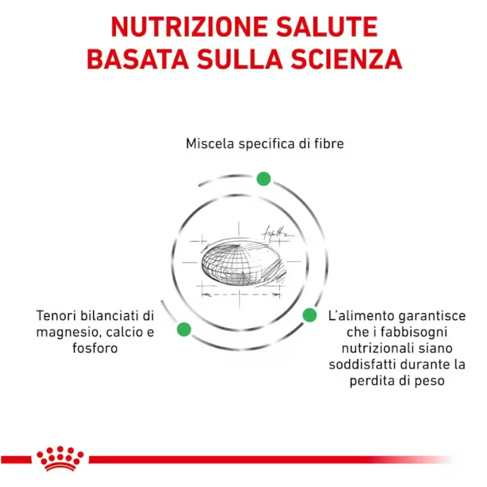 royal-canin-dog-veterinary-diet-satiety-weight-management-small-gallery-2