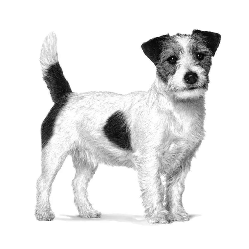 royal-canin-dog-veterinary-diet-satiety-weight-management-small-gallery