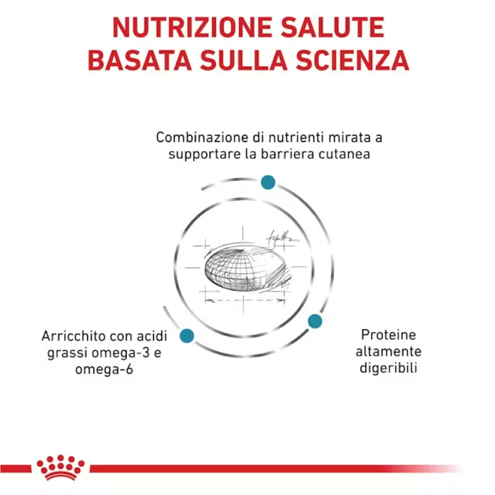 royal-canin-dog-veterinary-diet-skin-care-gallery-3