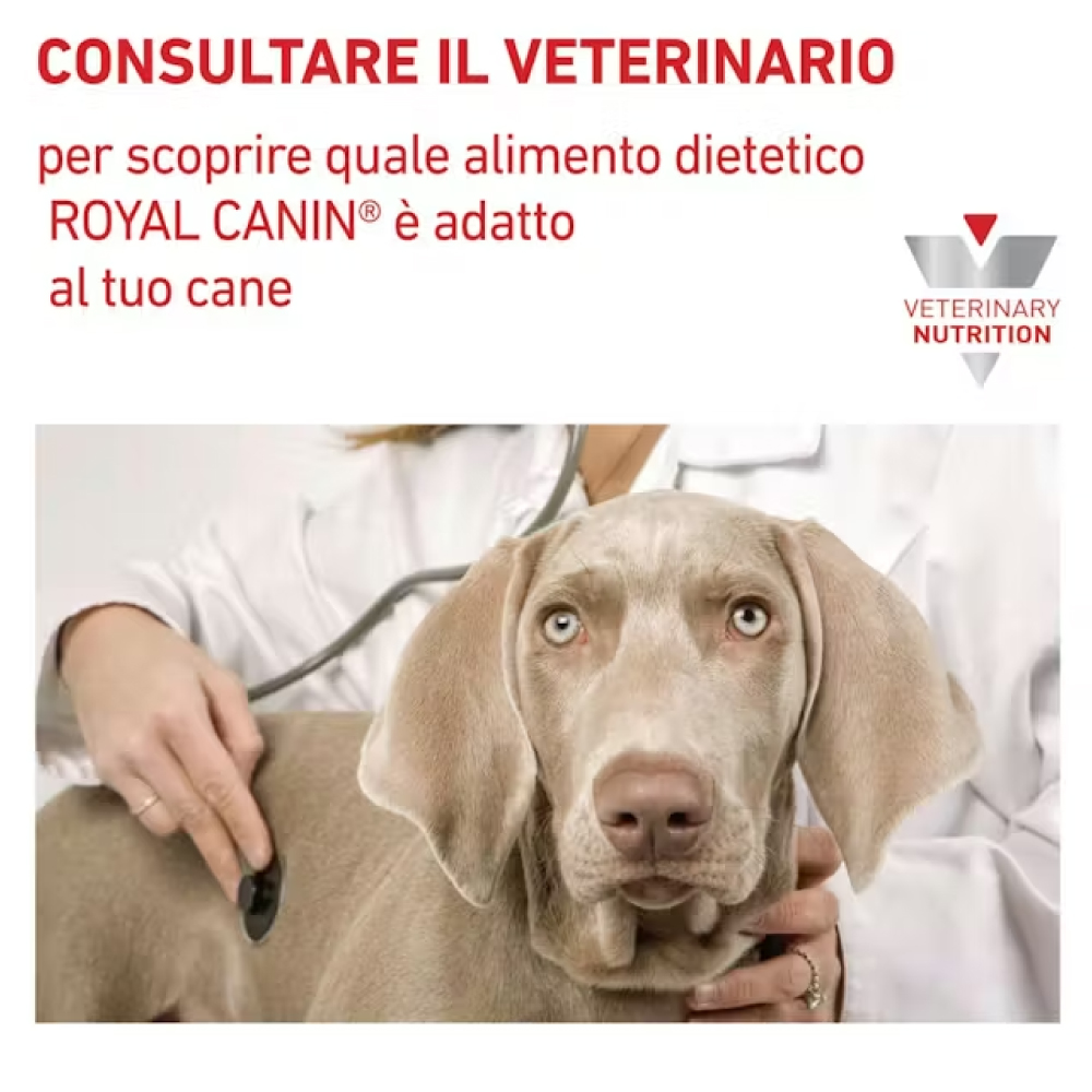 royal-canin-dog-veterinary-diet-skin-care-gallery