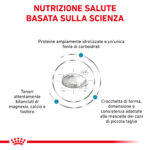 royal-canin-veterinary-diet-hypoallergenic-small-dog-gallery (1)