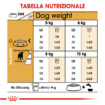 royal-canin-dog-bhn-adult-jack-russell-terrier-gallery-2
