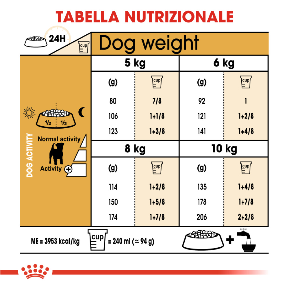 royal-canin-dog-bhn-adult-jack-russell-terrier-gallery-2