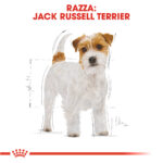 royal-canin-dog-bhn-adult-jack-russell-terrier-gallery-5