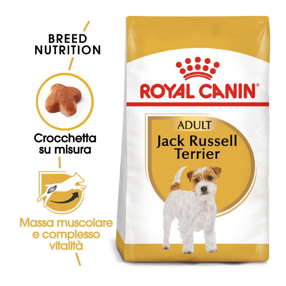 royal-canin-dog-bhn-adult-jack-russell-terrier-gallery-6
