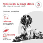 royal-canin-dog-veterinary-diet-glycobalance-diabetic-1