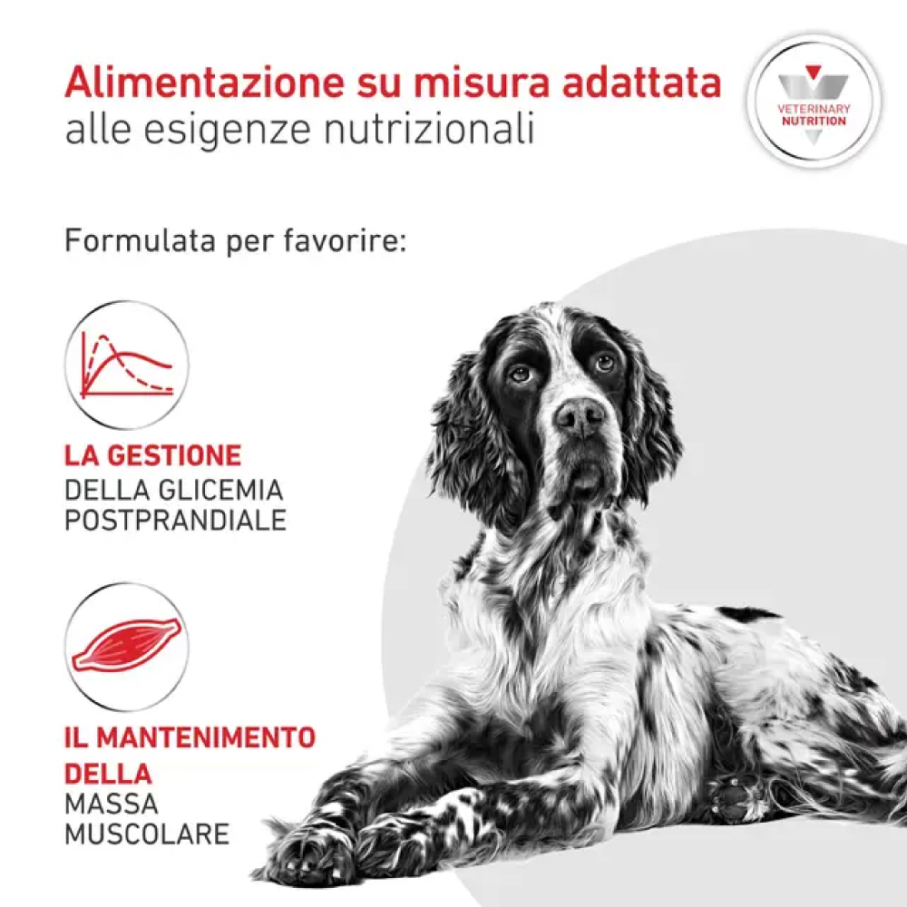 royal-canin-dog-veterinary-diet-glycobalance-diabetic-1