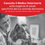 royal-canin-dog-veterinary-diet-glycobalance-diabetic-2