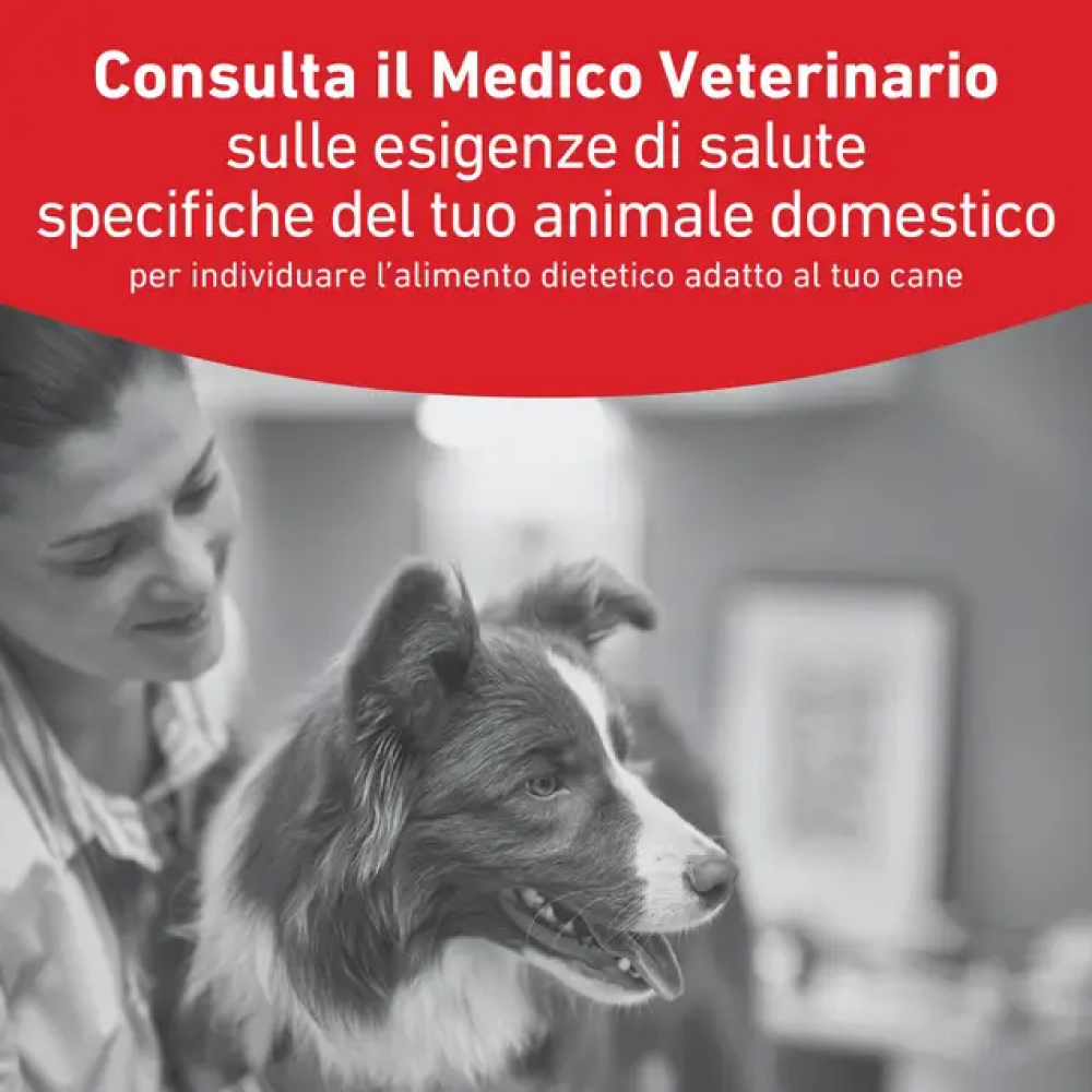 royal-canin-dog-veterinary-diet-glycobalance-diabetic-2