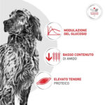 royal-canin-dog-veterinary-diet-glycobalance-diabetic-3