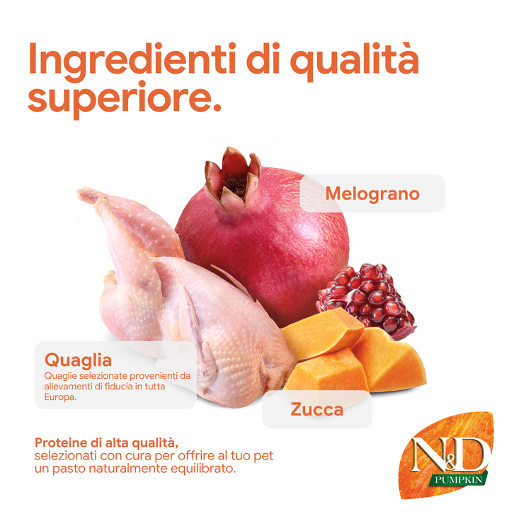Ingredienti premium: quaglia, melograno e zucca freschi