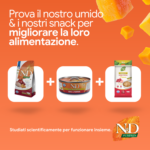 Prodotti umido e snack N&D Pumpkin per animali